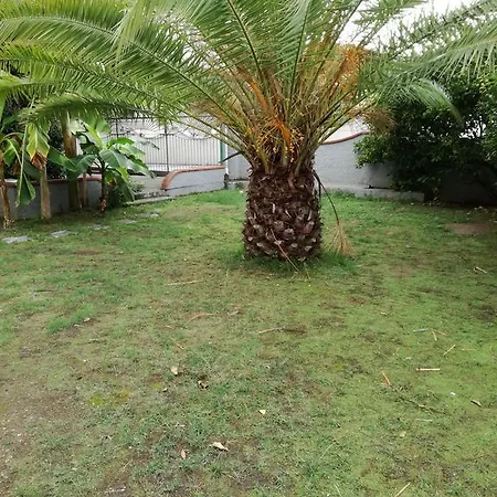 Casa Kiwi